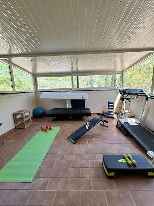 Casa Alessandra Arezzo 0*,